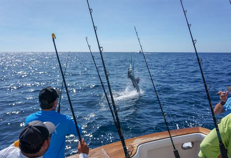 Torneo Mundial de Pesca deportiva en Quepos busca promover práctica responsable