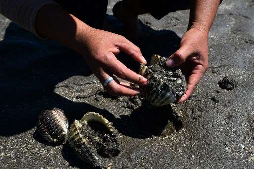 Guatemala en alerta por contaminación de moluscos que deja un muerto