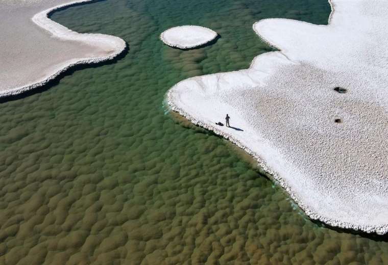 Extraño ecosistema en desierto de Atacama podría contener pistas sobre ...