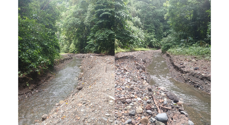Detienen a nueve oreros extrayendo oro ilegalmente en Corcovado y cuatro tenían orden de c