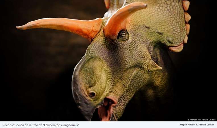 Sorprendente nuevo dinosaurio tenía cuernos como ningún otro