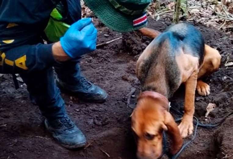 Hallan restos humanos en fosas clandestinas en San Vito de Coto Brus