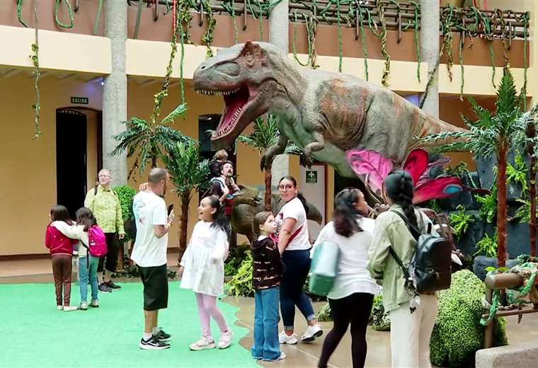 Museo de los Niños tendrá una nueva atracción durante todo enero | Teletica
