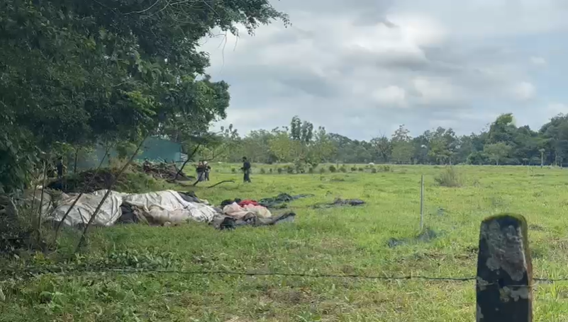 Director de OIJ confirma que apareció cuerpo cerca de vivero donde buscan a Ligia Faerron