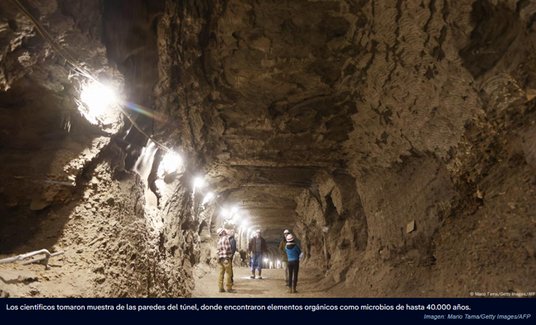 Reactivan microbios del permafrost que tienen 40.000 años