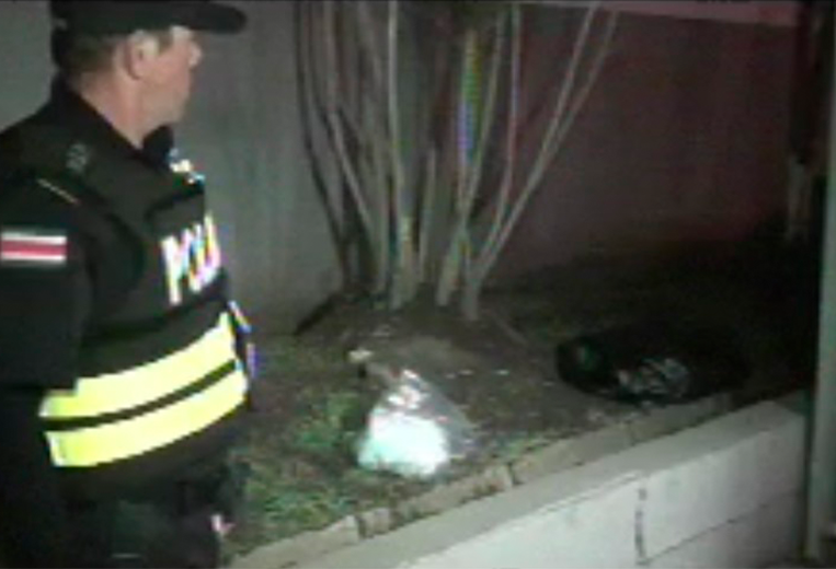 Gemelos abandonados en caja de cartón en Alajuela, 2015.