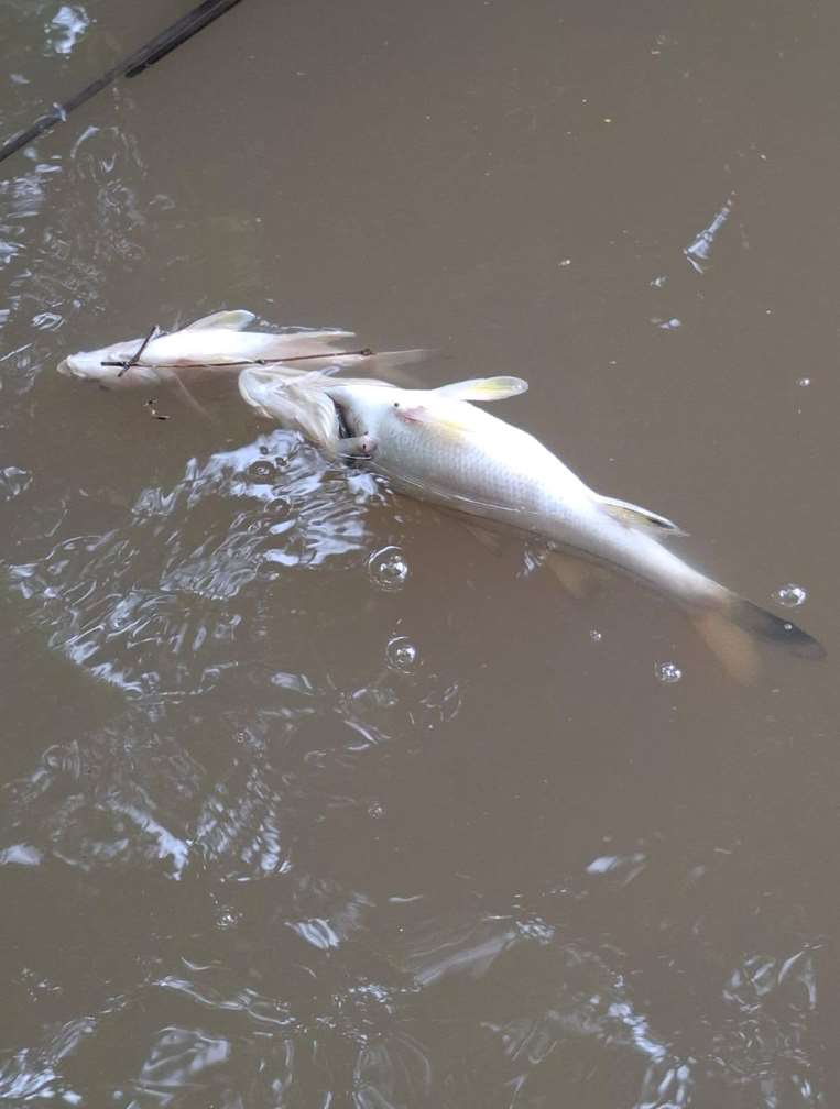 Contaminación Madre de Dios