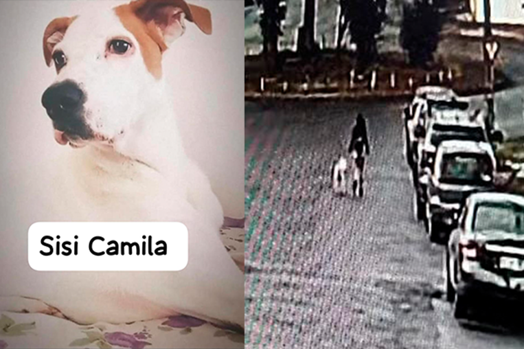 Joven desaparecida en Desamparados tras pasear su perro