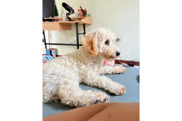 ¡De vuelta a casa! 20 de diciembre