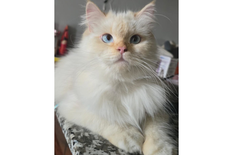 ¡De vuelta a casa! 20 de diciembre