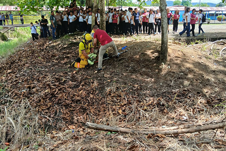 Atrapan cocodrilo que amanazaba a estudiantes en Osa