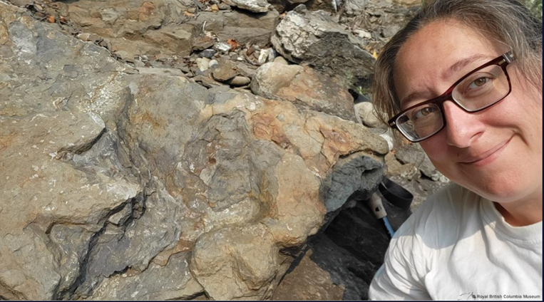 Huellas fosilizadas en montañas canadienses revelan existencia de nuevo dinosaurio con cor