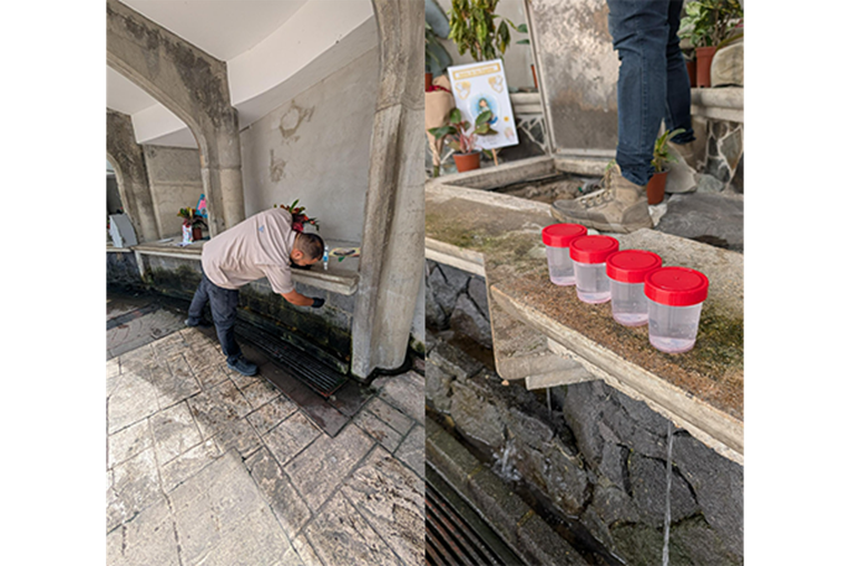 Salud toma muestras para analizar agua de piletas de la Basílica de Los Ángeles