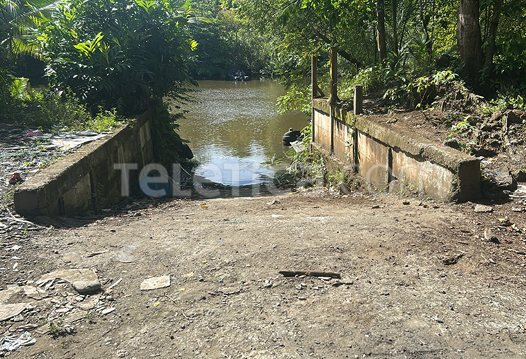 Destruyen muelles ilegales en Limón