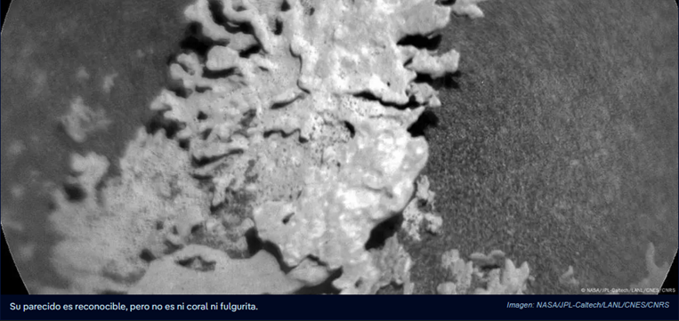 Róver Curiosity descubre diminuta roca con forma de coral en Marte