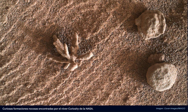 Róver Curiosity descubre diminuta roca con forma de coral en Marte