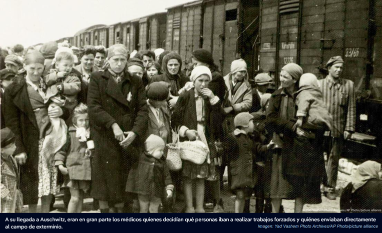 ¿Qué tiene que ver la píldora anticonceptiva con Auschwitz?