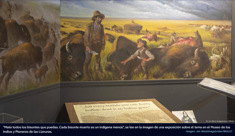 Bisontes reviven las praderas del Parque Yellowstone
