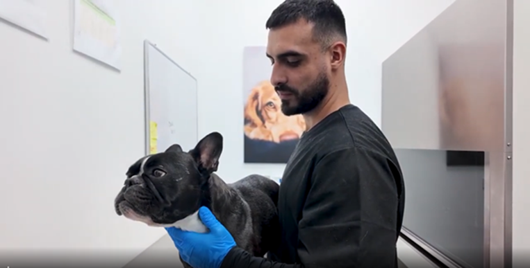 Costa Rica recibe mascotas de Panamá y Estados Unidos para tratamientos de radioterapia co