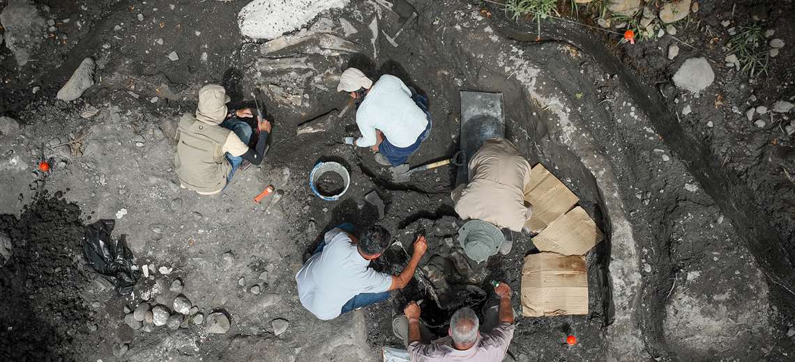 Vea aquí qué nombre le pusieron a los fósiles hallados en Cartago - Imagen de la noticia