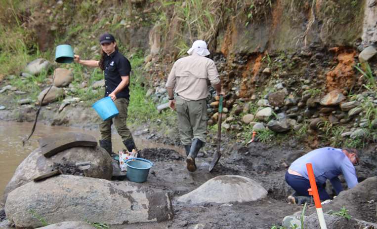 Hallazgo de mastodonte y perezoso gigante