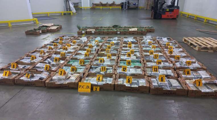 Desarticulación de grupo que exportaba droga a Europa