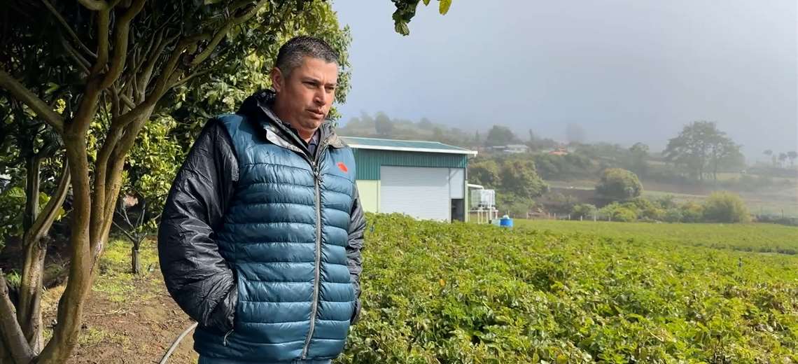 La feria que pone rostro al esfuerzo del campo en Tierra Blanca - Imagen de la noticia