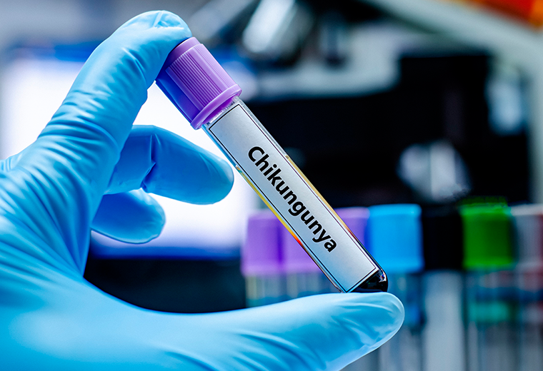 Salud confirma sexto caso de chikungunya en el país