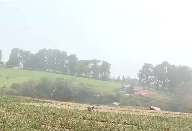   Nunca había sentido un frío así : Vecinos de Tierra Blanca experimentan temperatura de 10 °C