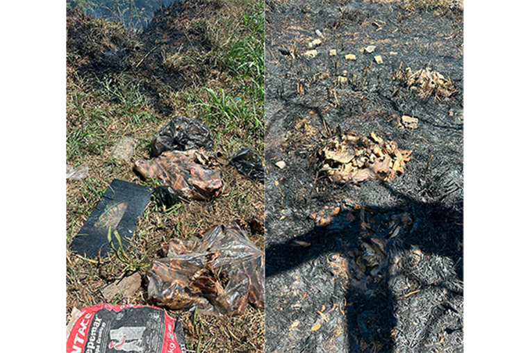 Bomberos hallan restos de 20 perros en bolsas mientras atendían incendio en Desamparados