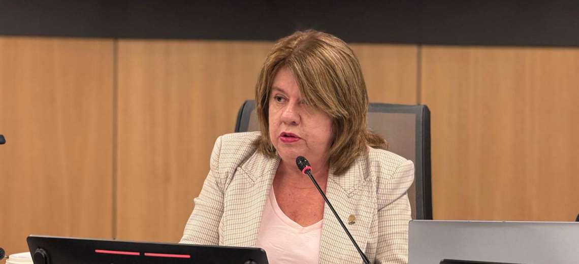 Diputados excluyen subastas mineras de filtros de contratación pública - Imagen de la noticia