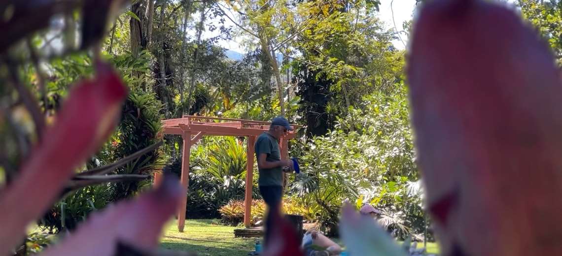 Cartago: Entre senderos y flores exóticas, existe un lugar donde la ciencia y la naturaleza se encuentran - Imagen de la noticia