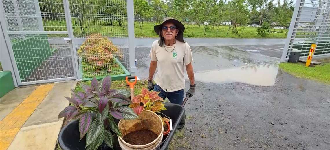 Este vecino de La Fortuna que decidió convertir un centro de reciclaje en un jardín lleno de vida - Imagen de la noticia