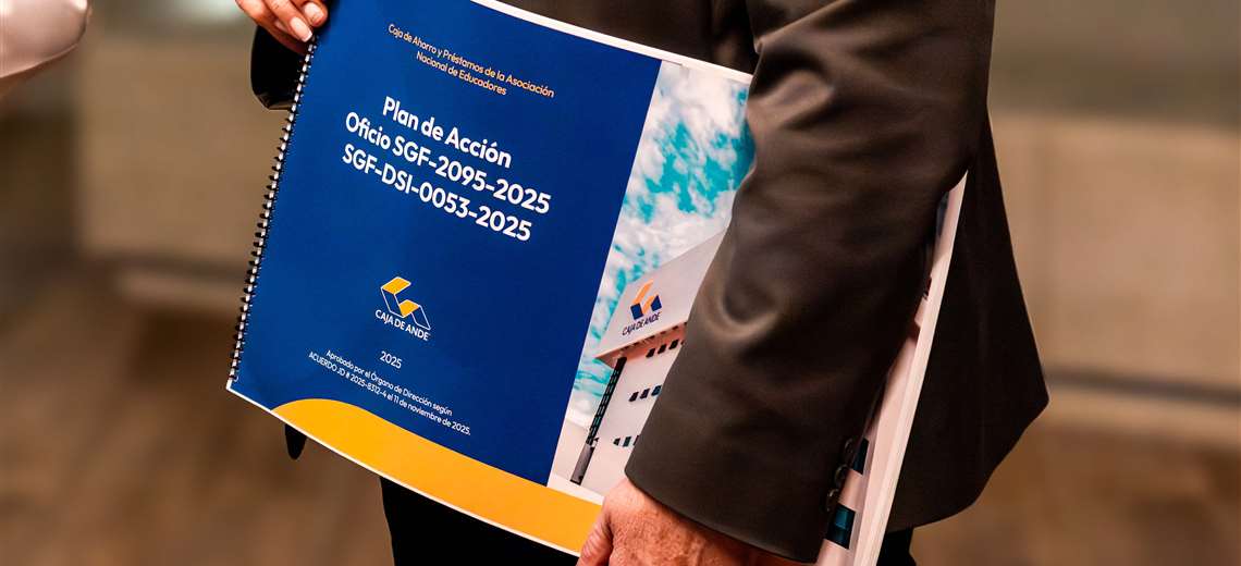 Luz verde al Plan de Fortalecimiento Institucional de Caja de ANDE - Imagen de la noticia