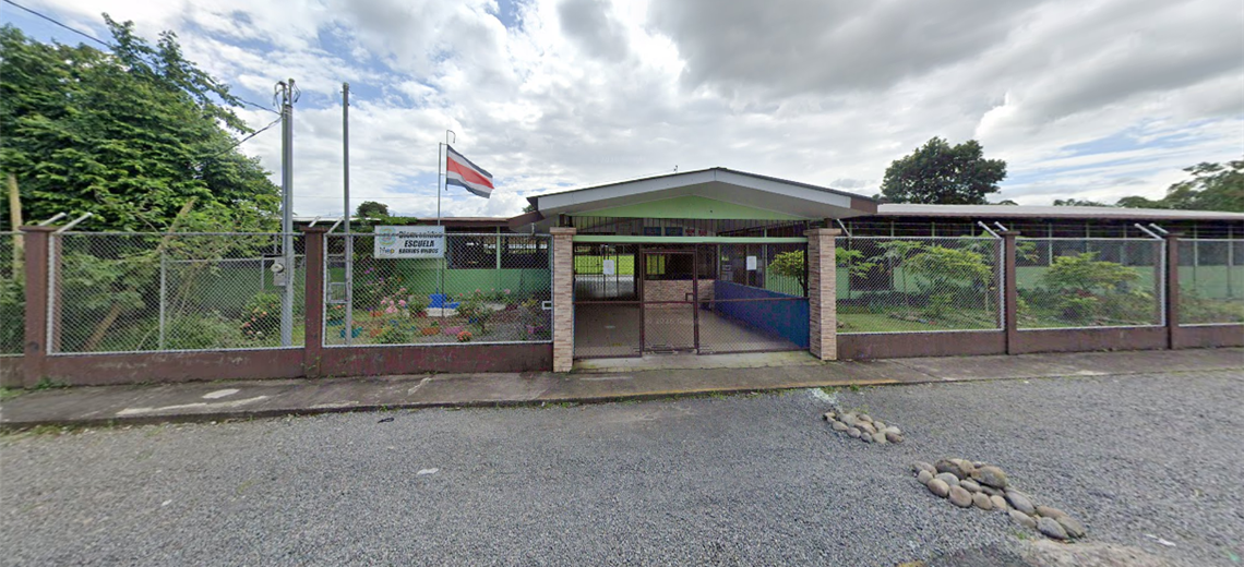 Ataque de abejas deja 22 niños afectados en escuela de Guápiles - Imagen de la noticia