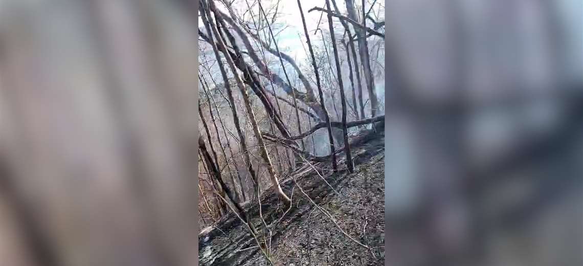 Cazadores ilegales sospechosos de provocar incendio forestal en Isla Venado, según Minae - Imagen de la noticia