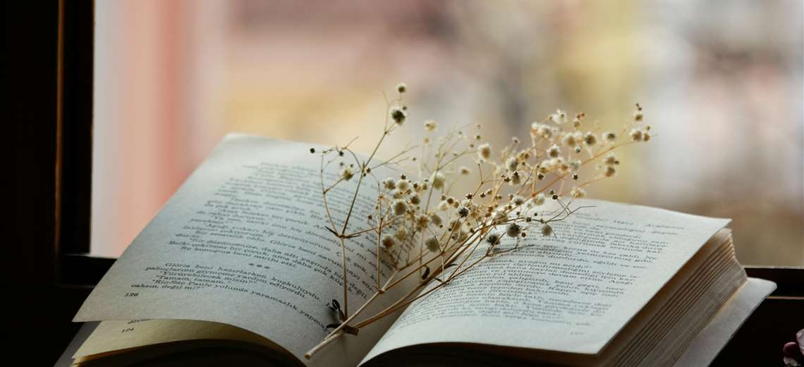 Marzo se llena de versos: Museo de Cultura Popular celebra el Mes de la Poesía - Imagen de la noticia