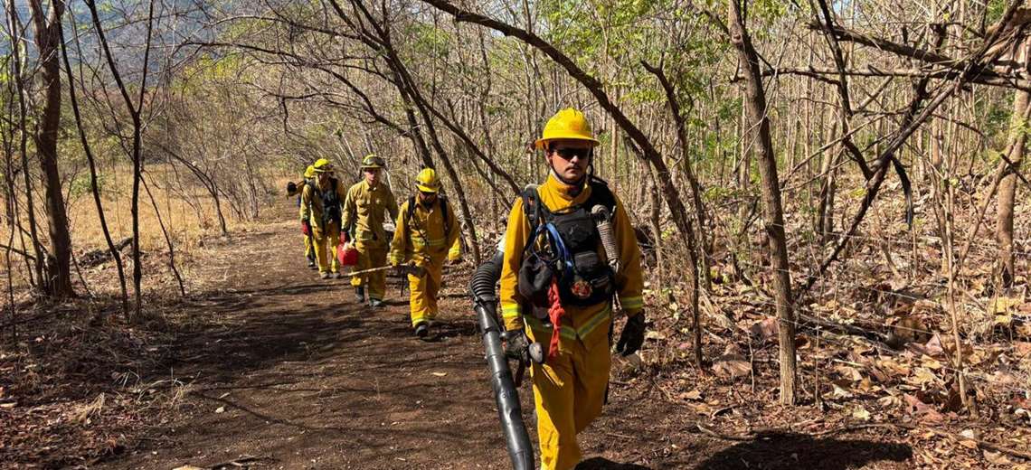 Costa Rica alcanza cifra más alta de incendios forestales en su historia, según Bomberos - Imagen de la noticia