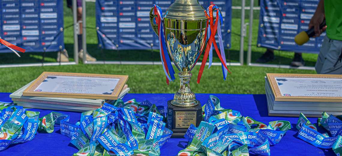 Consejo Nacional del Deporte analiza realizar Juegos Deportivos cada dos años - Imagen de la noticia