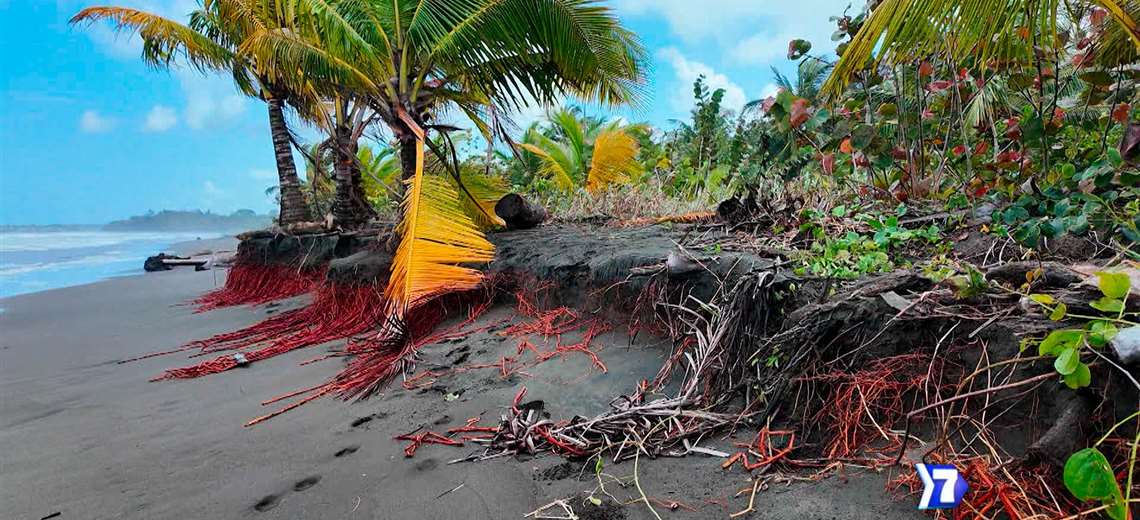 Las costas se borran