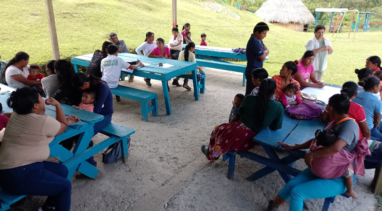 Electrificación solar en territorios indígenas: el desafío urgente de llevar luz a escuela