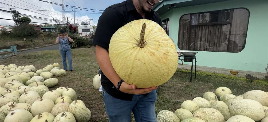 Todo listo en Zarcero para cinco días dedicados al chiverre y a la tradición costarricense