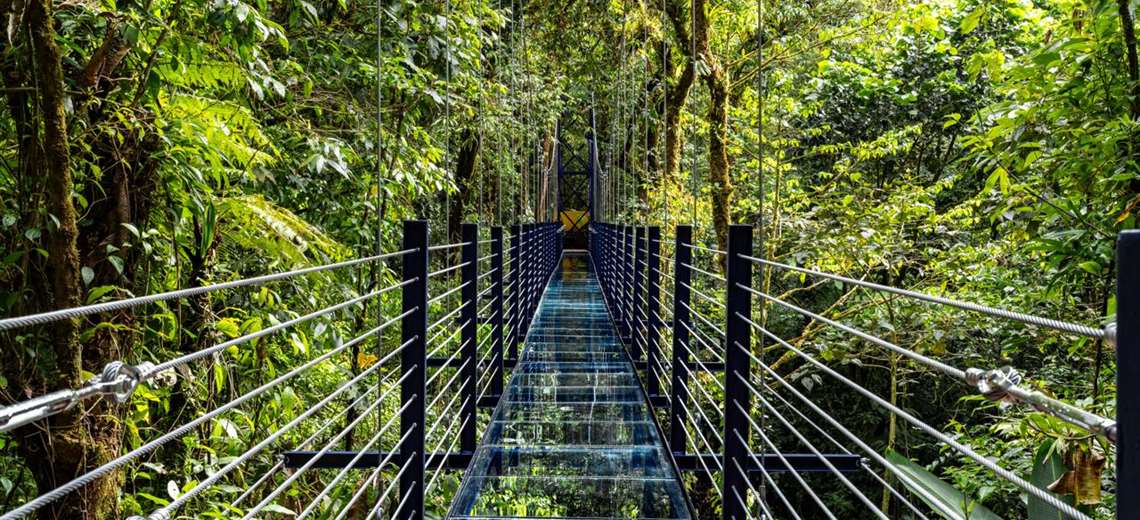 Así es el primer puente colgante de vidrio en Costa Rica que ya abrió en Monteverde