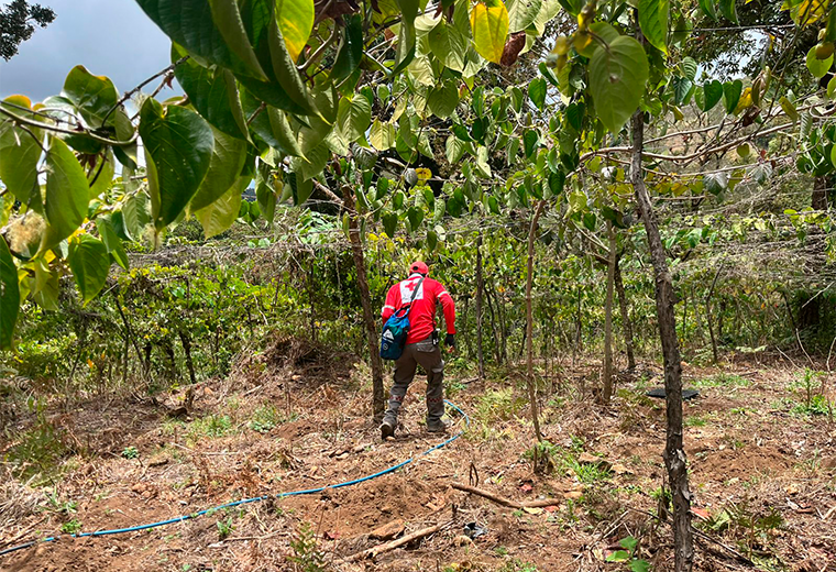 Tras cinco horas de búsqueda aparece vivo menor de tres años desaparecido en Dota