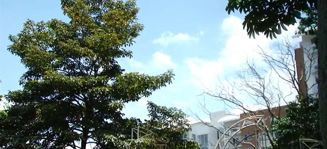 Fuertes vientos serán una constante en este inicio de semana - Imagen de la noticia