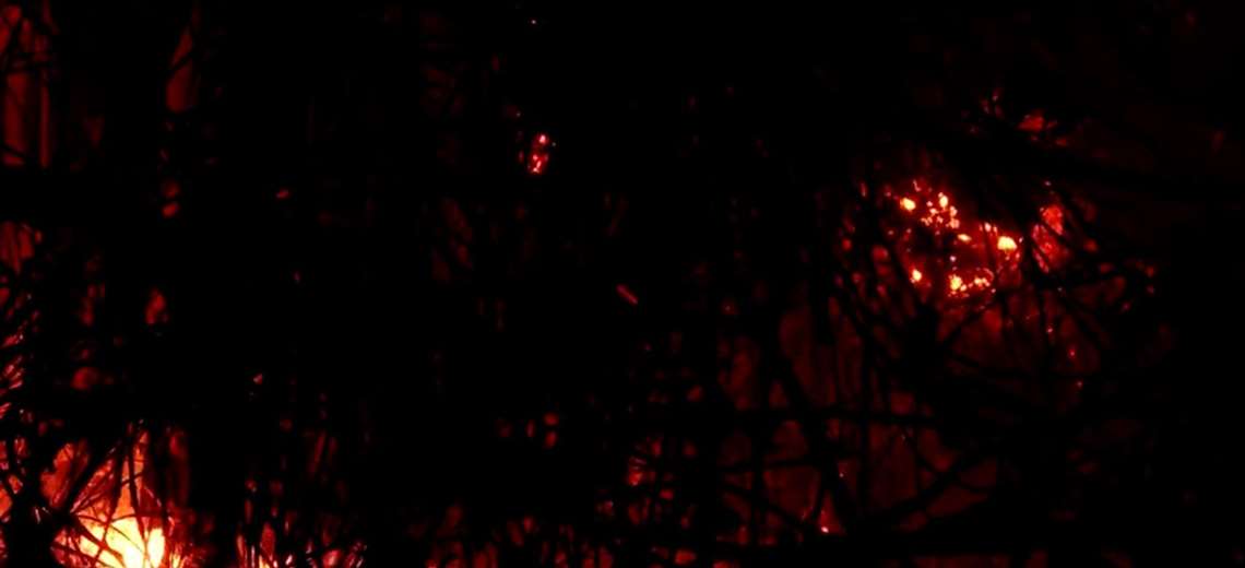 Bomberos instalará campamento para atender incendios forestales en Guanacaste - Imagen de la noticia