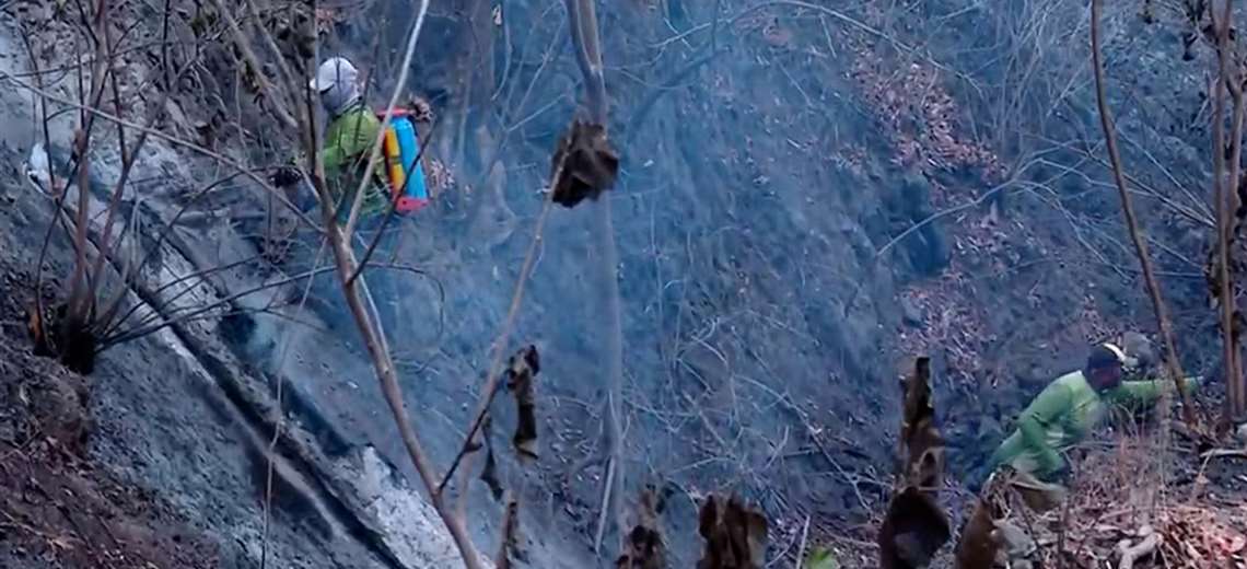 Bomberos usan dron para detectar focos de calor sin humo en Guanacaste - Imagen de la noticia