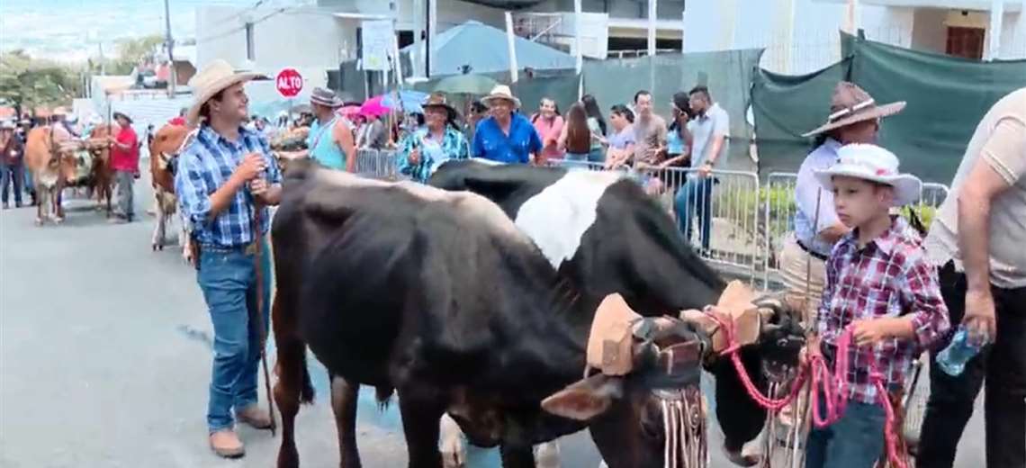 Boyeros desfilaron este domingo en Escazú - Imagen de la noticia