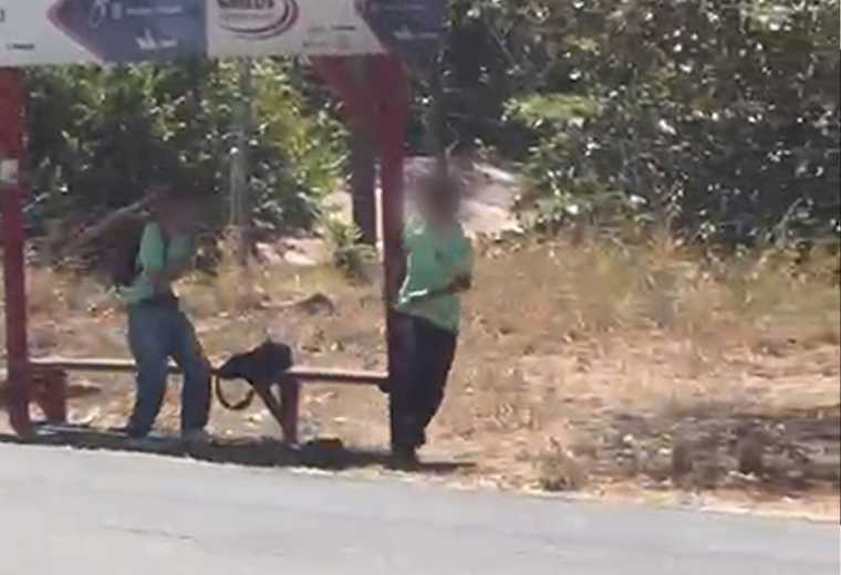 ¿Qué pasó con el colegial sospechoso de asesinar de una puñalada a compañero en Liberia?