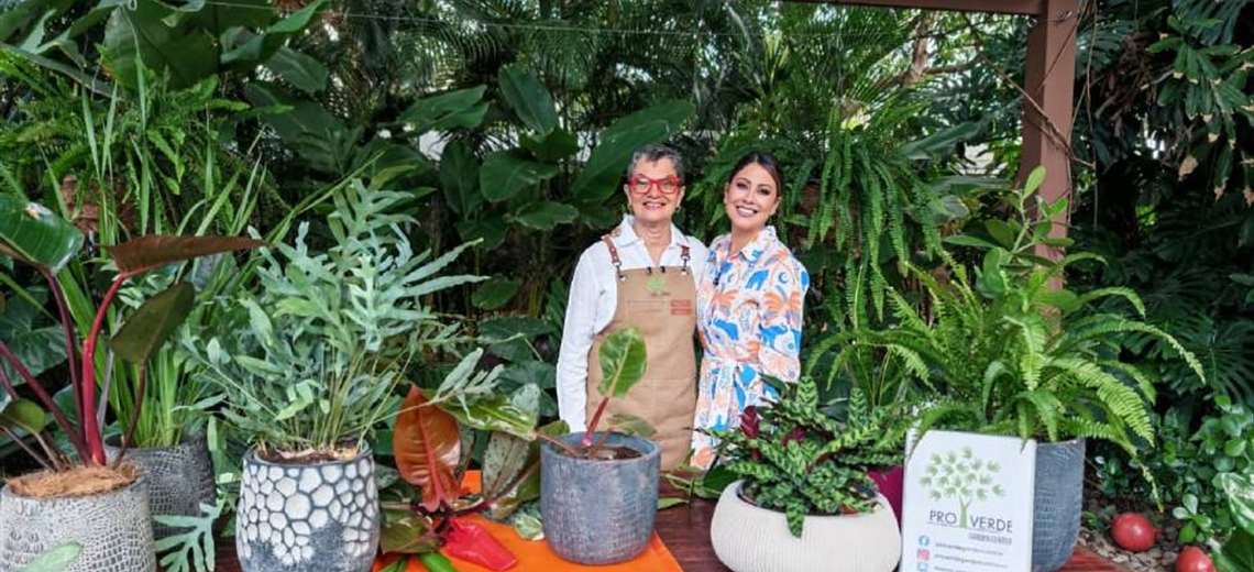 Guía fácil para multiplicar las plantas y transformar su hogar - Imagen de la noticia